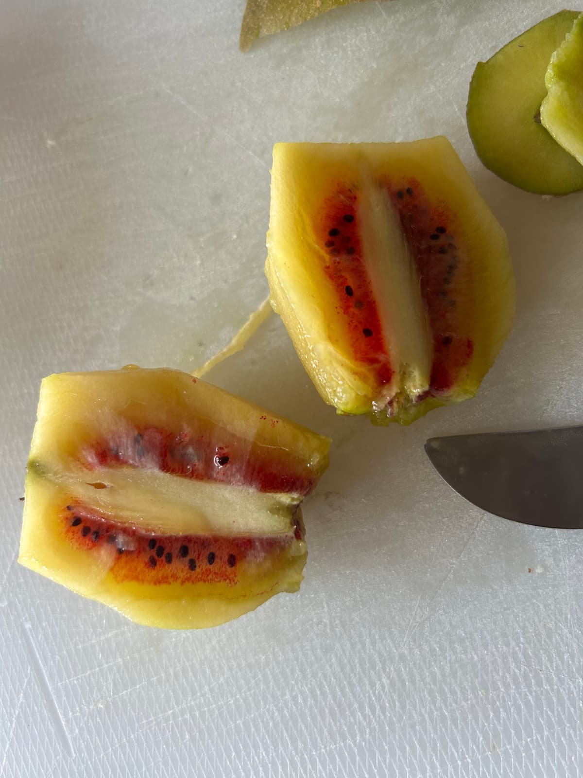 Newsletter Bemotion - 17 de Noviembre 2025